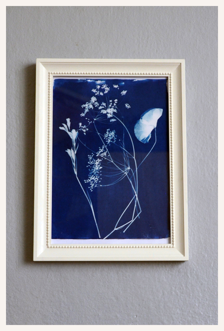 cyanotype- baskı-tablo