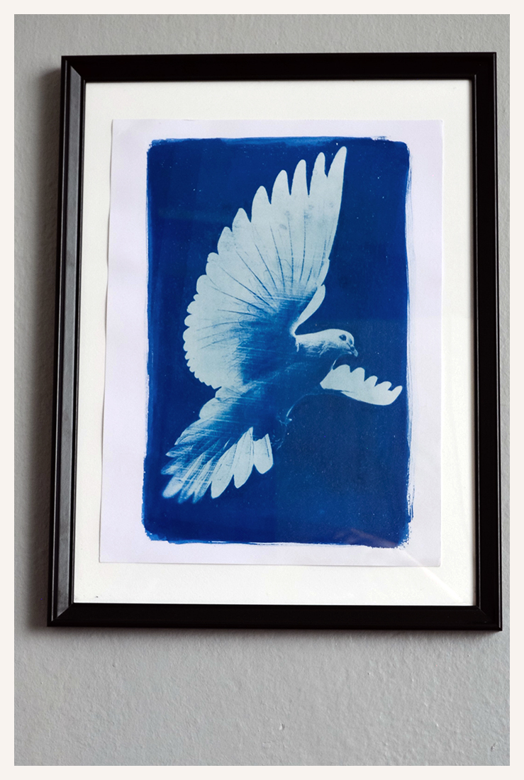 Cyanotype tekniği ile Baskı