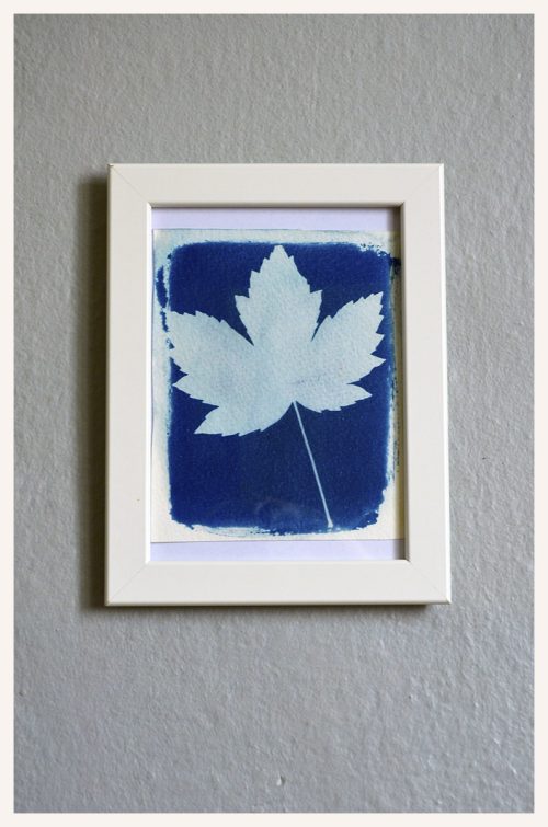 yaprak Cyanotype Baskı Tablo